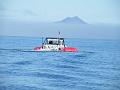 Bering Strait Crossing 132